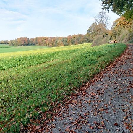 Vila Haus Im Grunen Billerbeck Exteriér fotografie