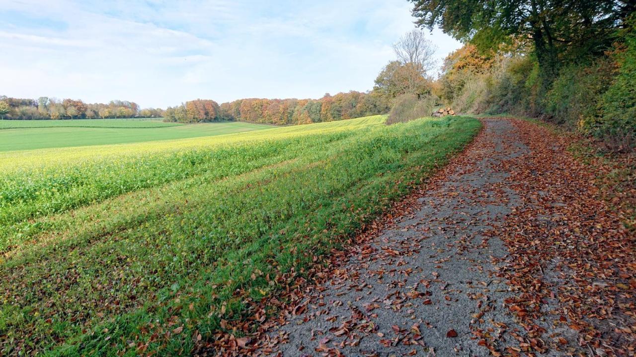 Vila Haus Im Grunen Billerbeck Exteriér fotografie