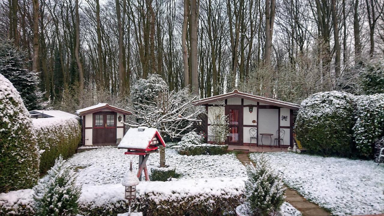 Vila Haus Im Grunen Billerbeck Exteriér fotografie